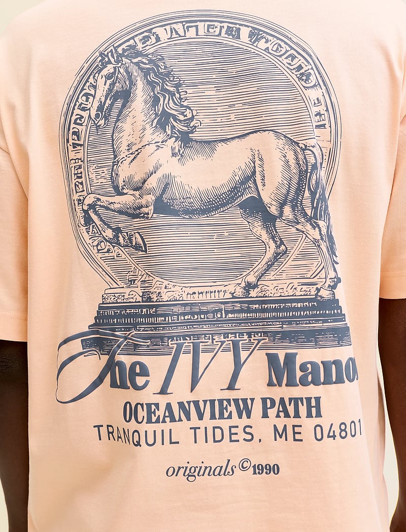 Jack & Jones - JORMAINE BACK TEE SS CREW NECK SN - kortærmede t-shirts - peach melba - 5