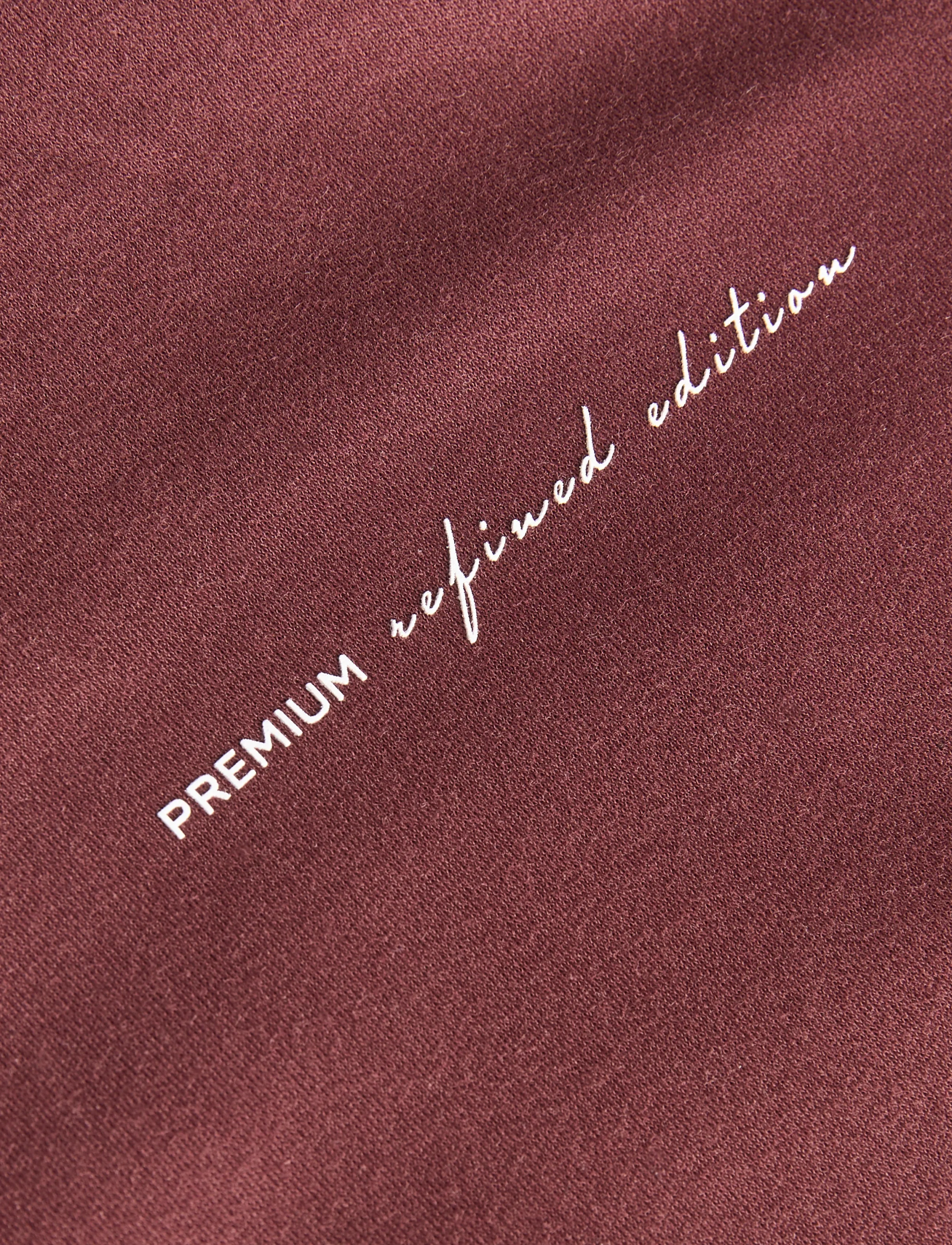 Jack & Jones - JPRBLAOWEN SS BRANDING TEE SN - lühikeste varrukatega t-särgid - bitter chocolate - 2