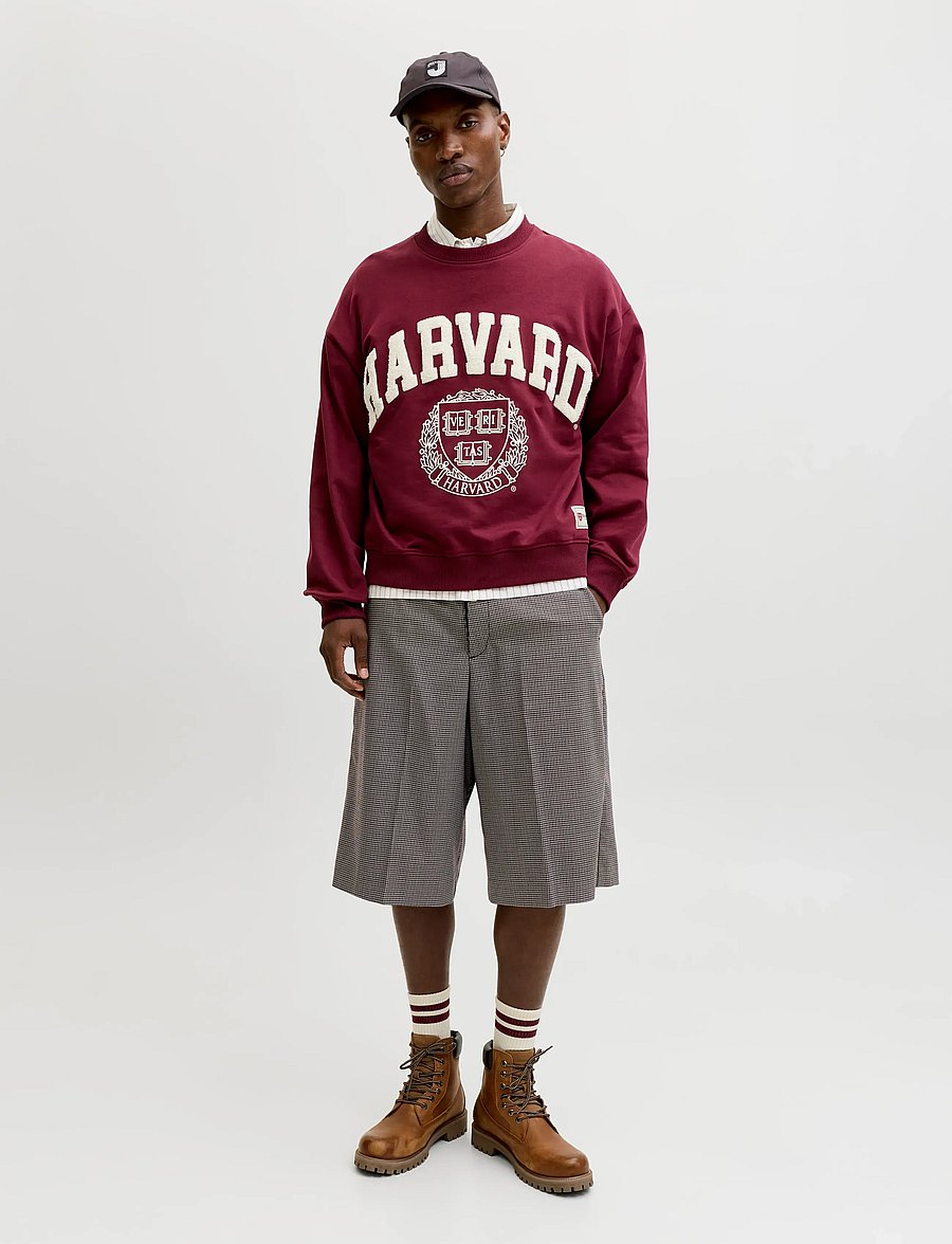 Jack & Jones - JPSTOWEN TOBY CHINO SHORTS XLNG LN - chinos shorts - crocodile - 4