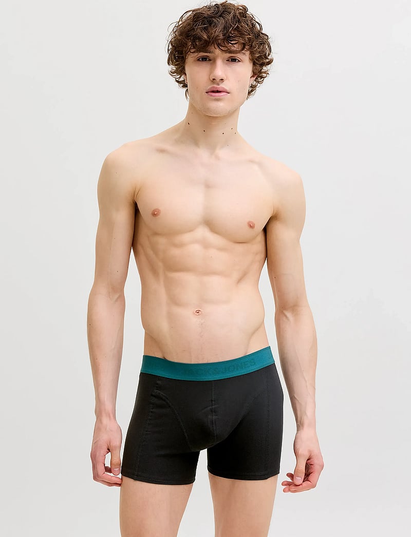 Jack & Jones - JACWESLEY SOLID TRUNKS 12 PACK - alushousut monipakkauksessa - black - 4