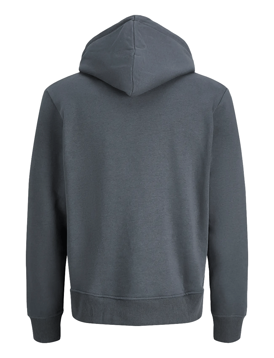 Jack & Jones - JJTOM SWEAT HOOD - turbulence - 1