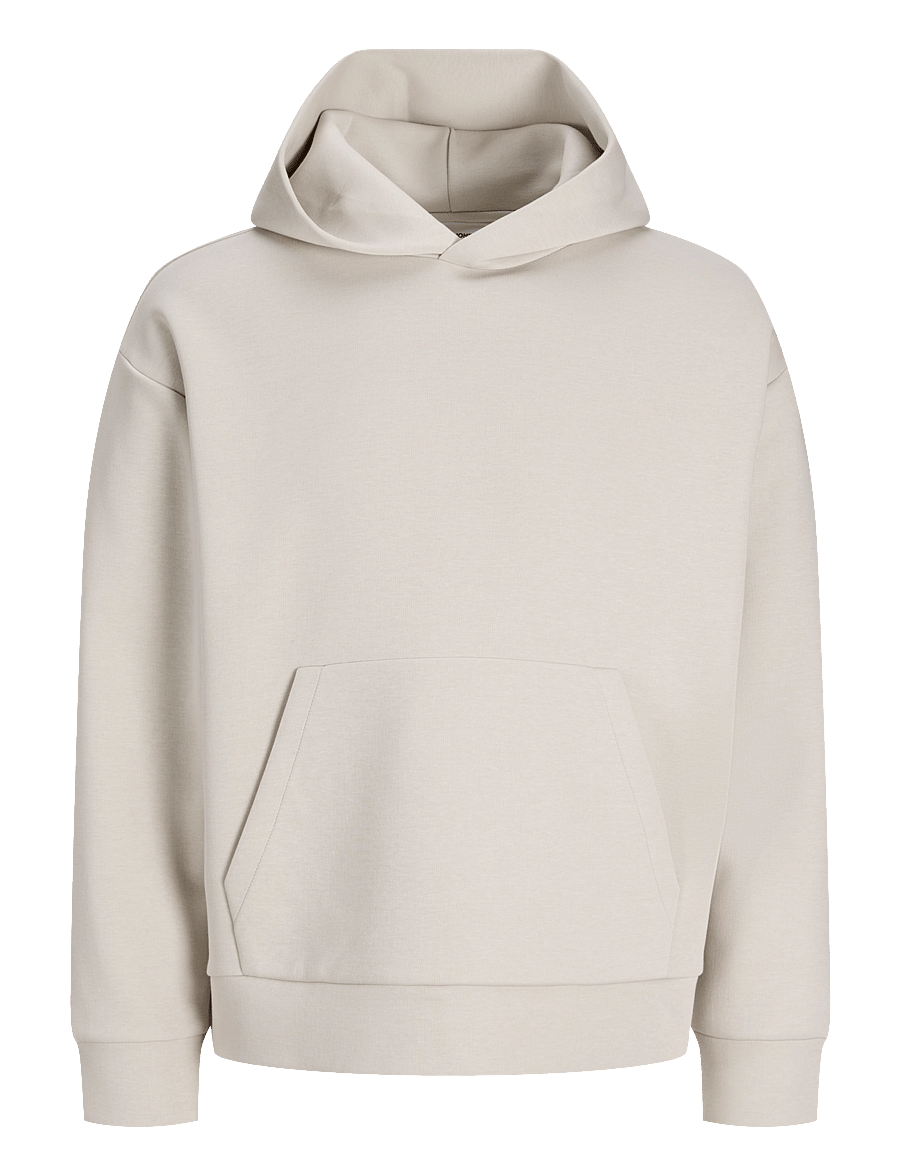 Jack & Jones - JJEBARRON SWEAT HOOD NOOS - hættetrøjer - moonbeam - 1