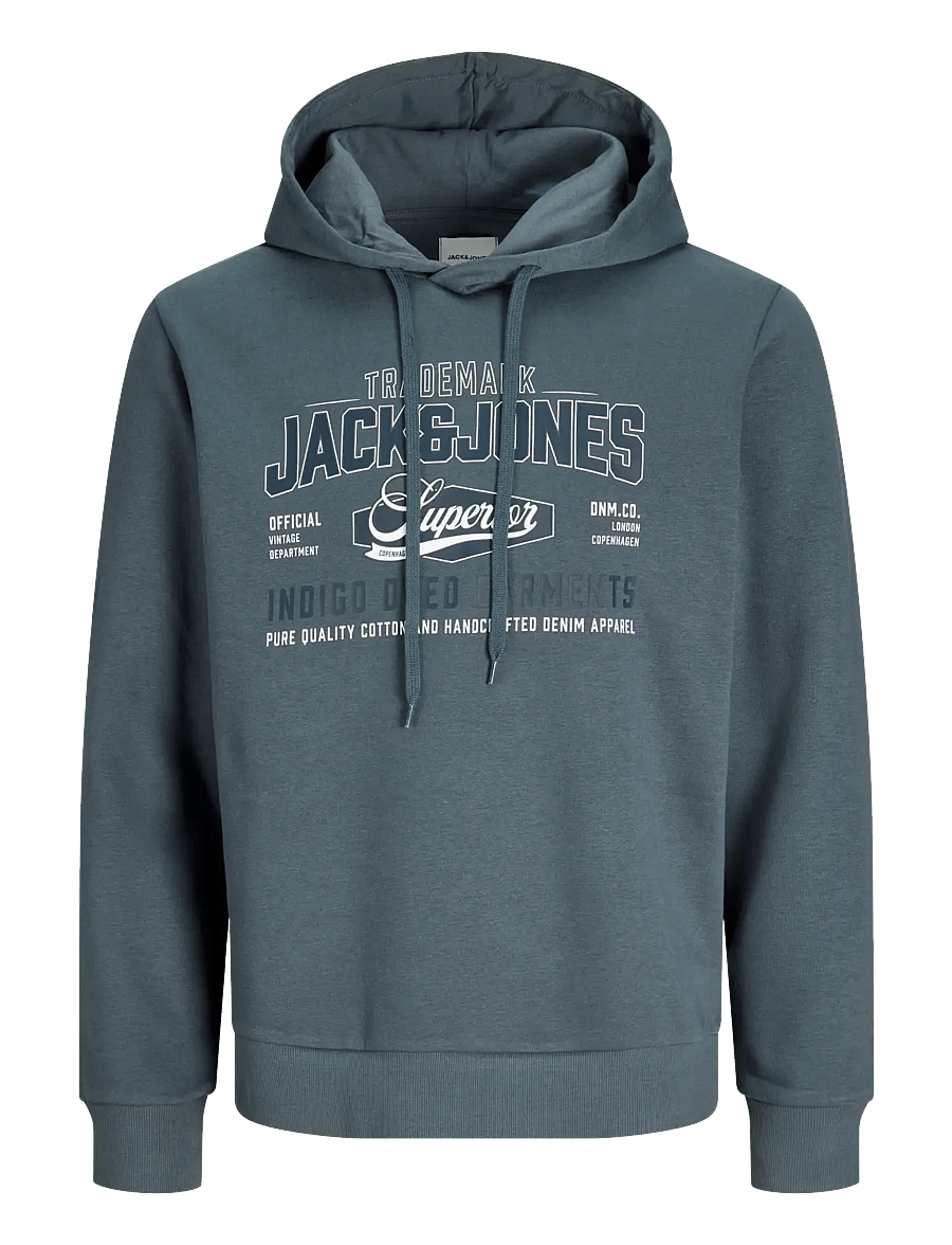 Jack & Jones - JJELOGO SWEAT HOOD 2 COL AW26 SN - kapuutsiga dressipluusid - turbulence - 1