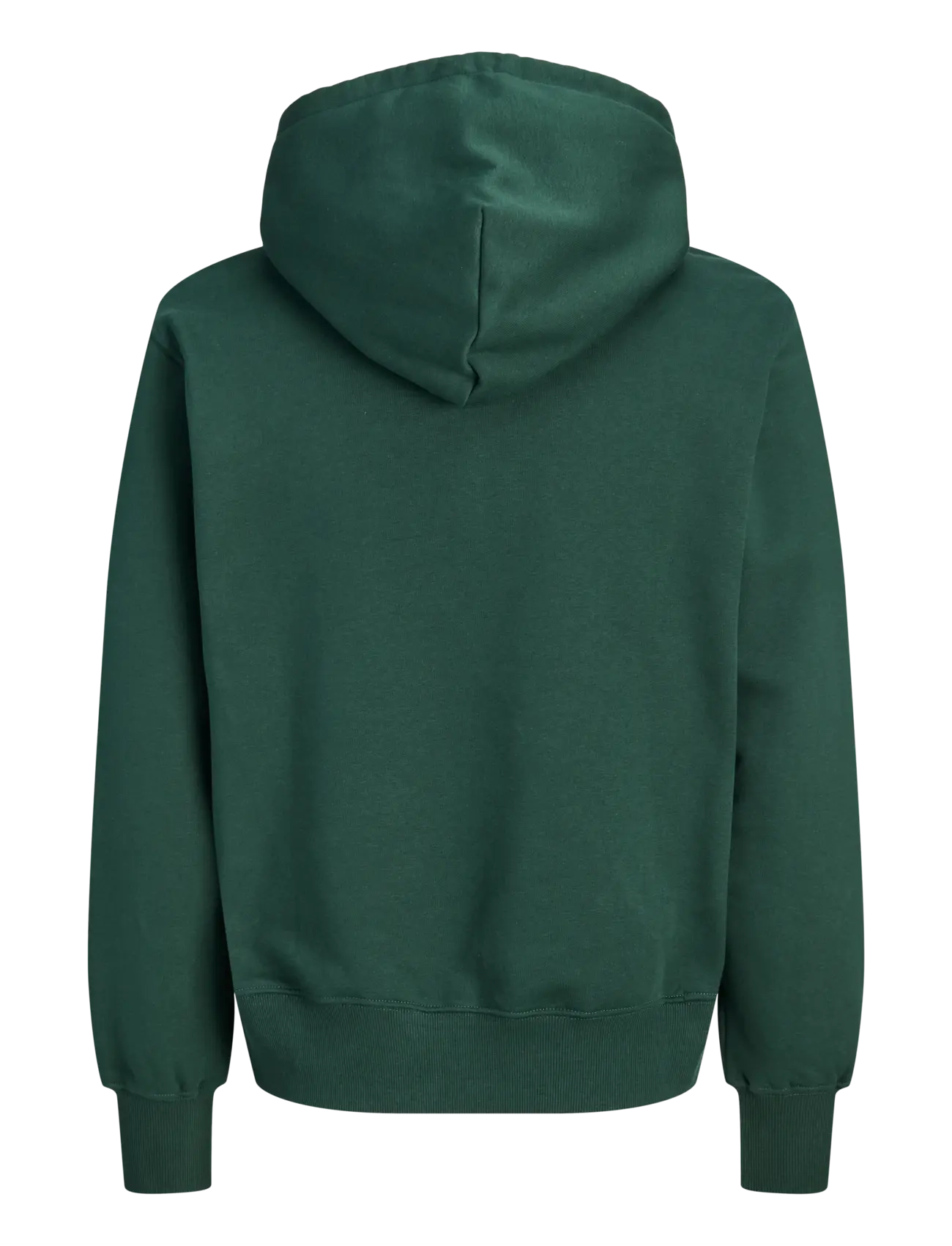 Jack & Jones - JORFREDERIKSBERG MONOGRAM SWEAT HOOD SN - kapuzenpullover - pine grove - 2