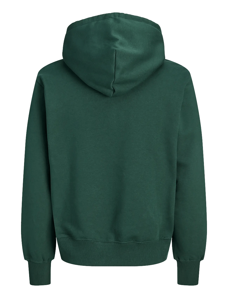 Jack & Jones - JORFREDERIKSBERG MONOGRAM SWEAT HOOD SN - kapuzenpullover - pine grove - 2