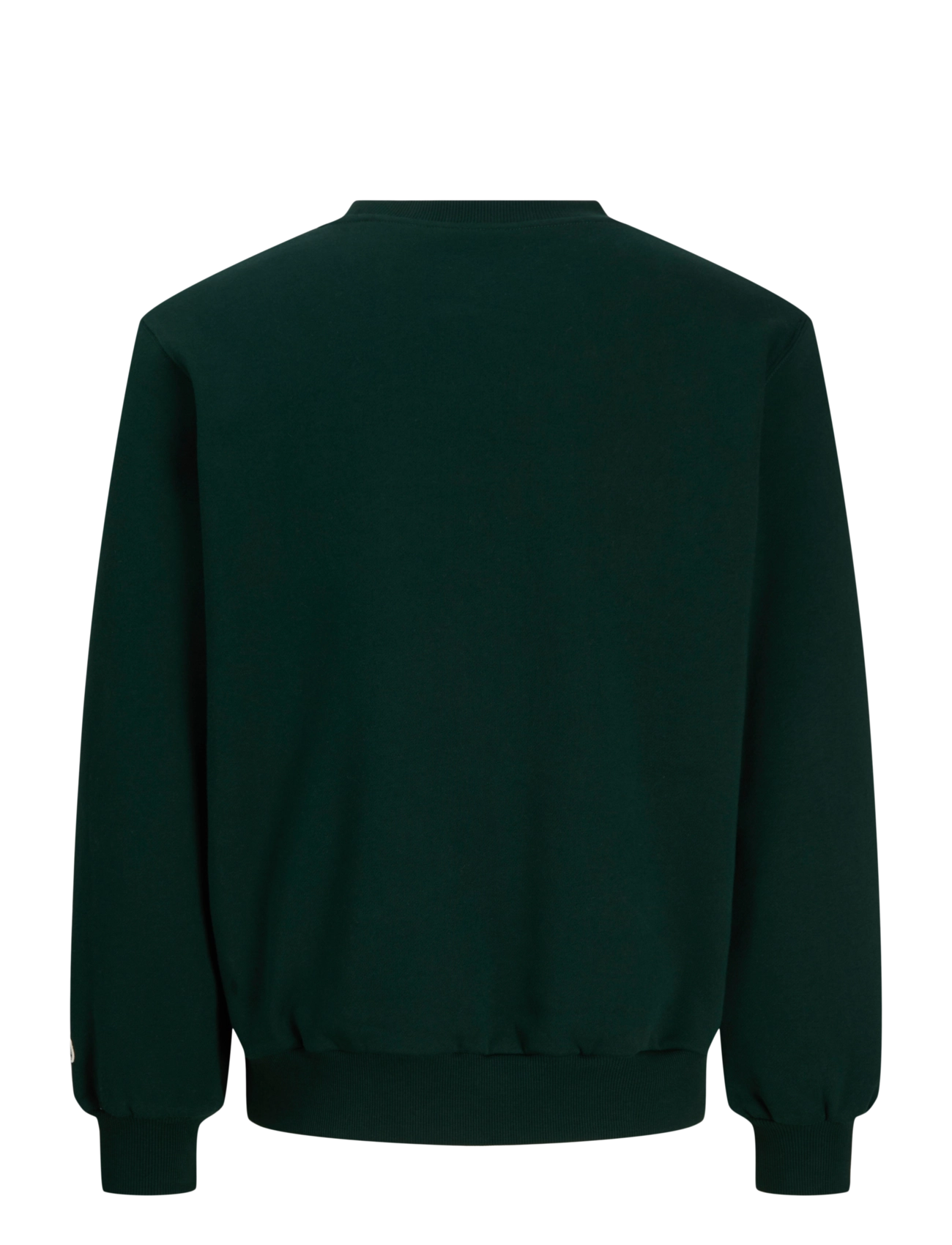 Jack & Jones - JORFREDERIKSBERG FRONT SWEAT CREW NECK - pine grove - 2