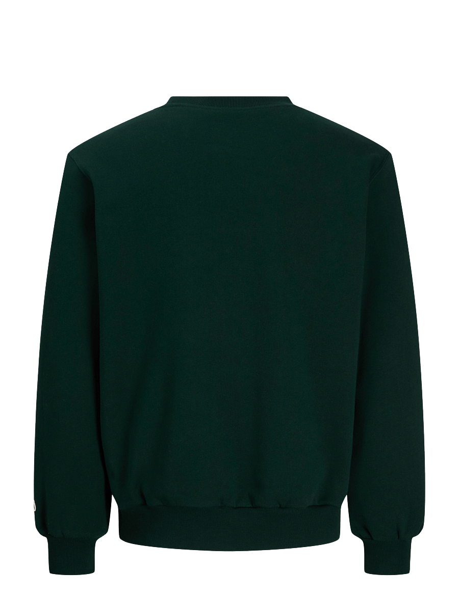 Jack & Jones - JORFREDERIKSBERG FRONT SWEAT CREW NECK - pine grove - 2
