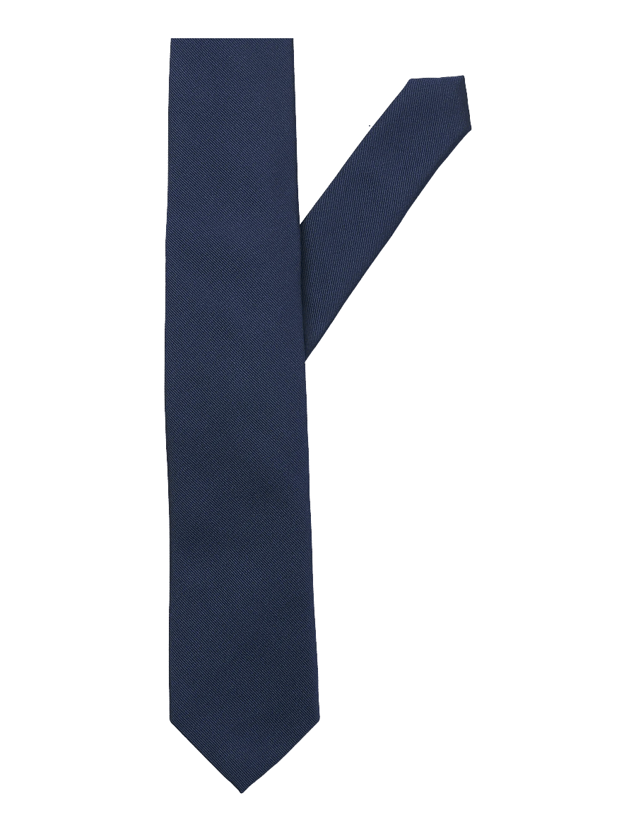 Jack & Jones - JACSOLID STRUCTURED TIE NOOS - lipsud - navy blazer - 1