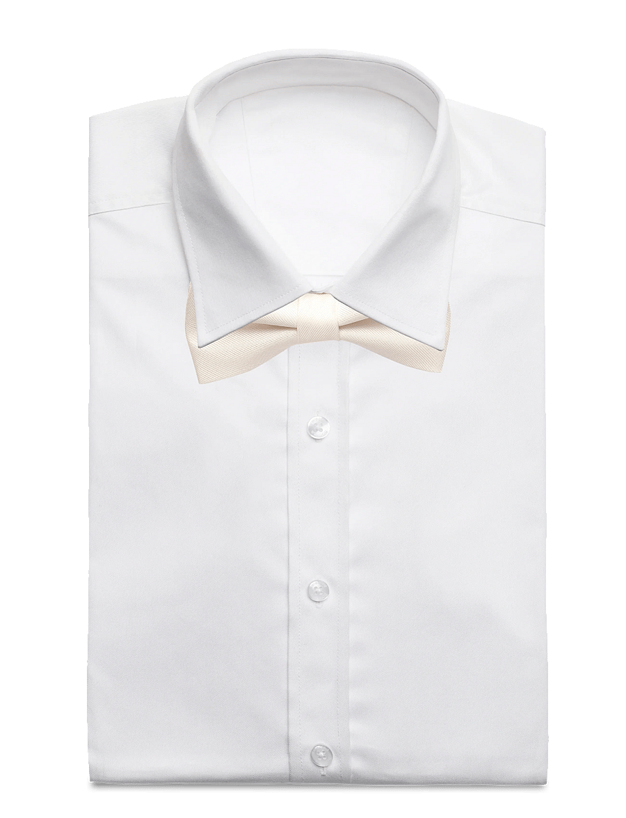 Jack & Jones - JACSOLID STRUCTURED BOWTIE SN - bow ties - moonbeam - 2