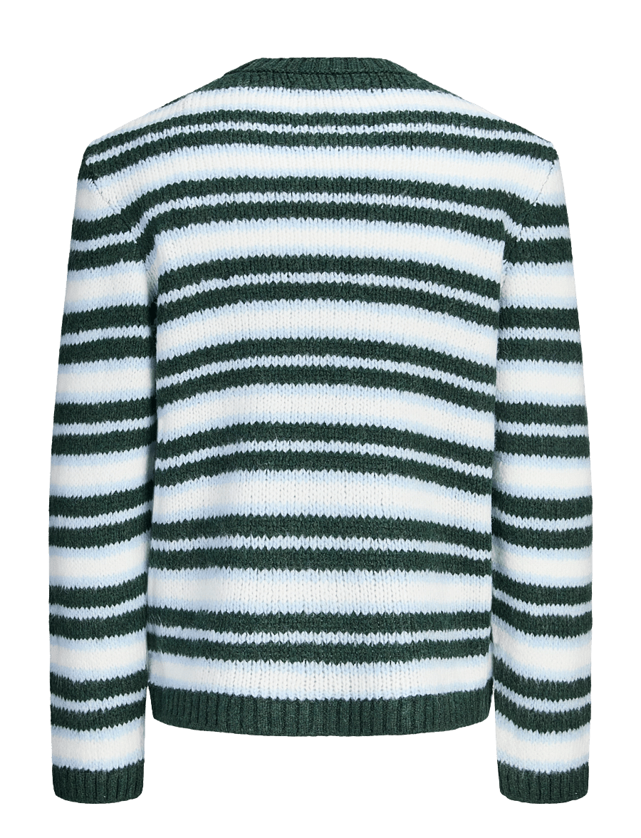 Jack & Jones - JORSALAMANCO KNIT CREW NECK - rundhals - pine grove - 2