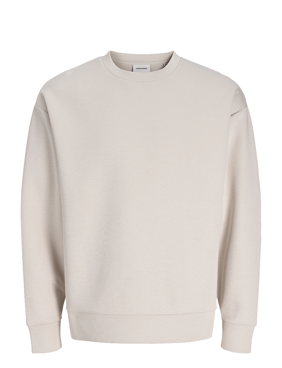 Jack & Jones - JJEBARRON SWEAT CREW NECK NOOS - sweatshirts - moonbeam - 1