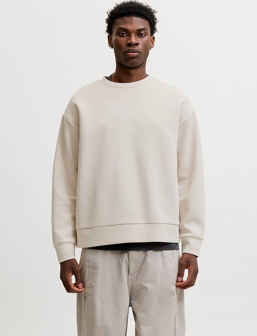 Jack & Jones - JJEBARRON SWEAT CREW NECK NOOS - sweatshirts - moonbeam - 0
