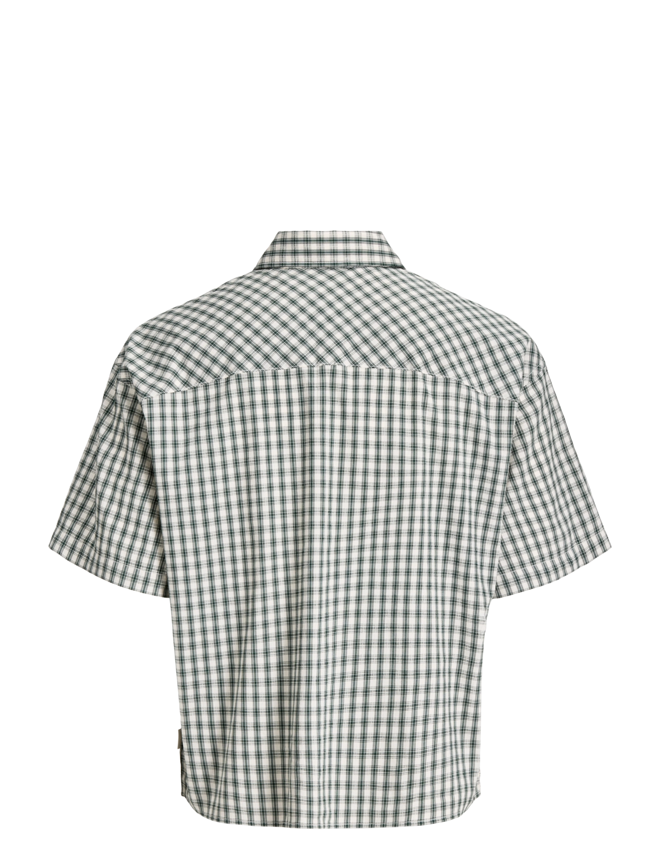 Jack & Jones - JORATOCHA CHECK SHIRT SS - ternede skjorter - pine grove - 1