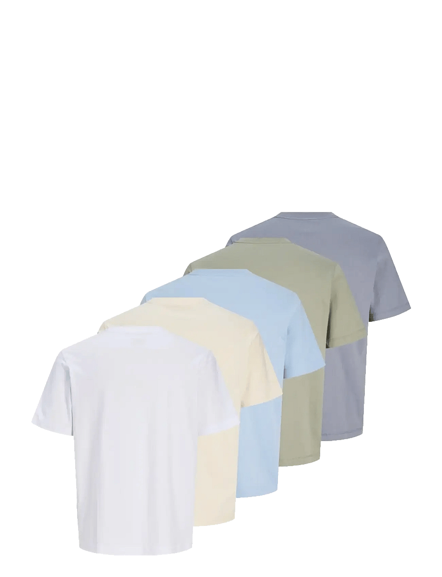 Jack & Jones - JORNORREBRO EMB TEE SS CN 5PK MP - multipack t-shirts - seagrass - 2