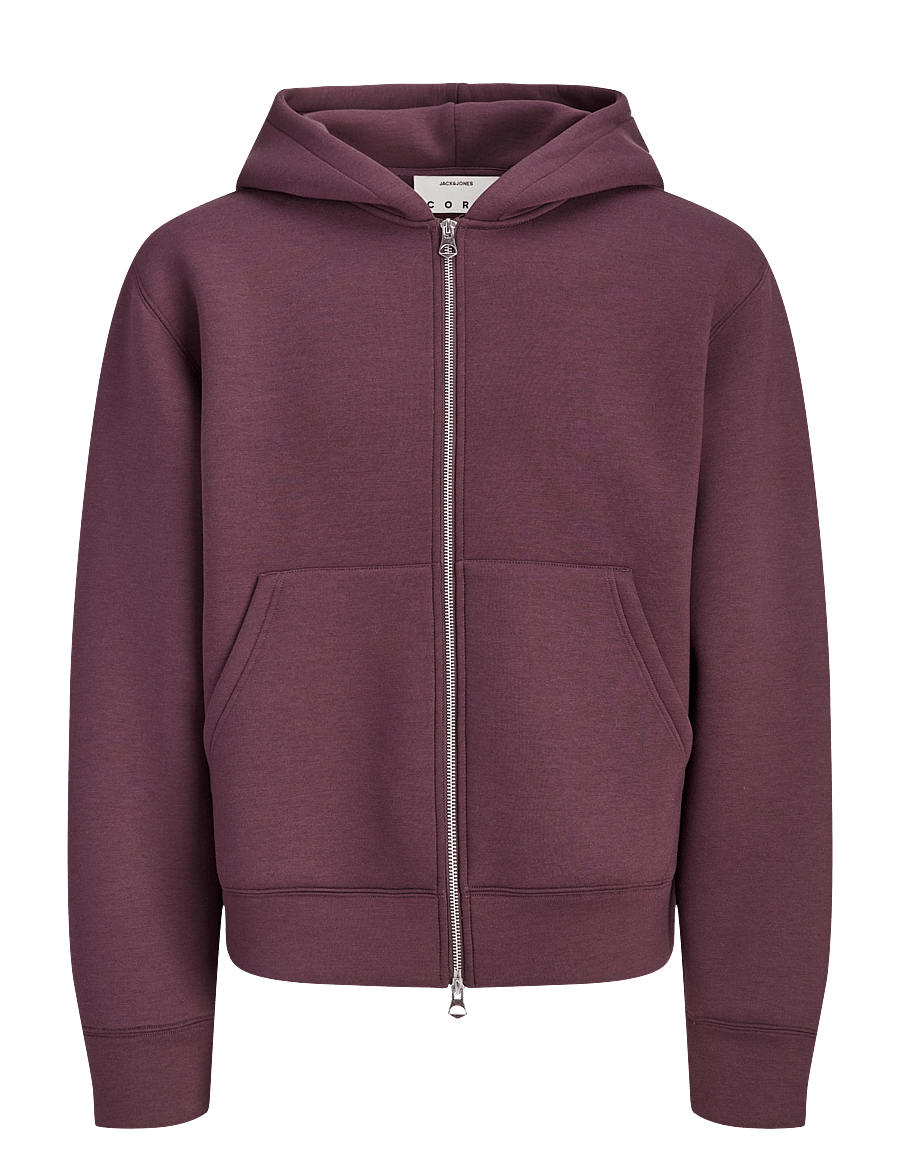 Jack & Jones - JCOLEGACY SWEAT SCUBA ZIP HOOD NOOS - kapuzenpullover - fudge - 1
