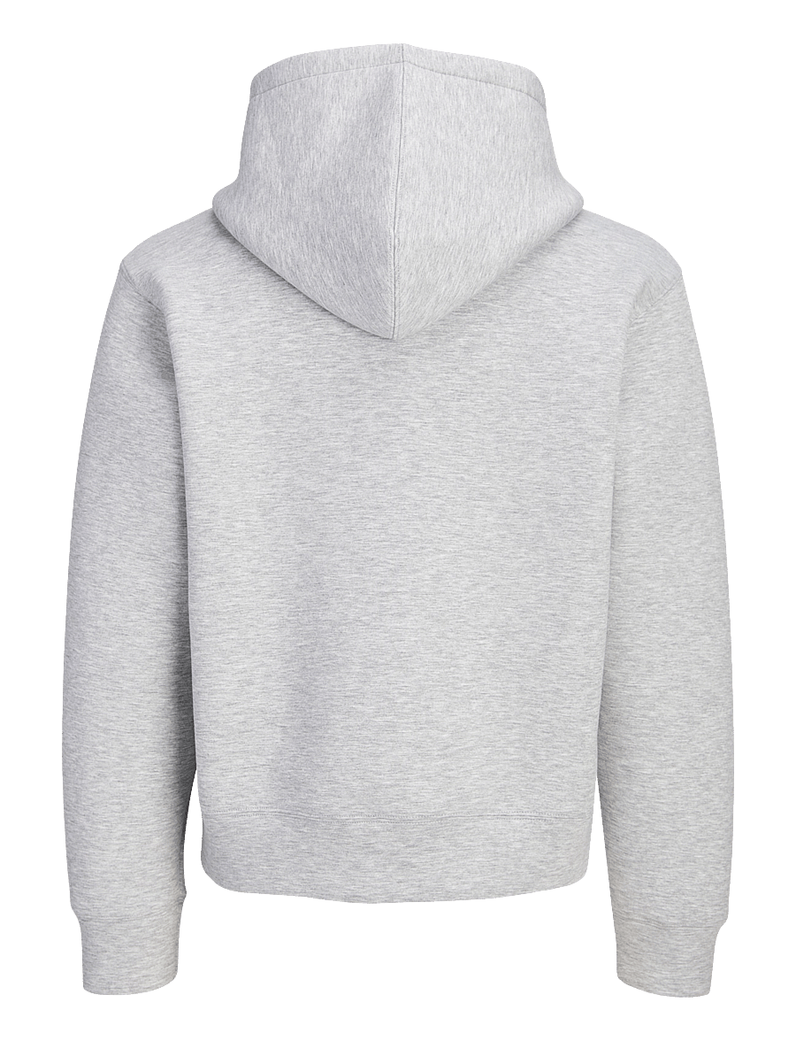 Jack & Jones - JCOLEGACY SWEAT SCUBA ZIP HOOD NOOS - light grey melange - 2