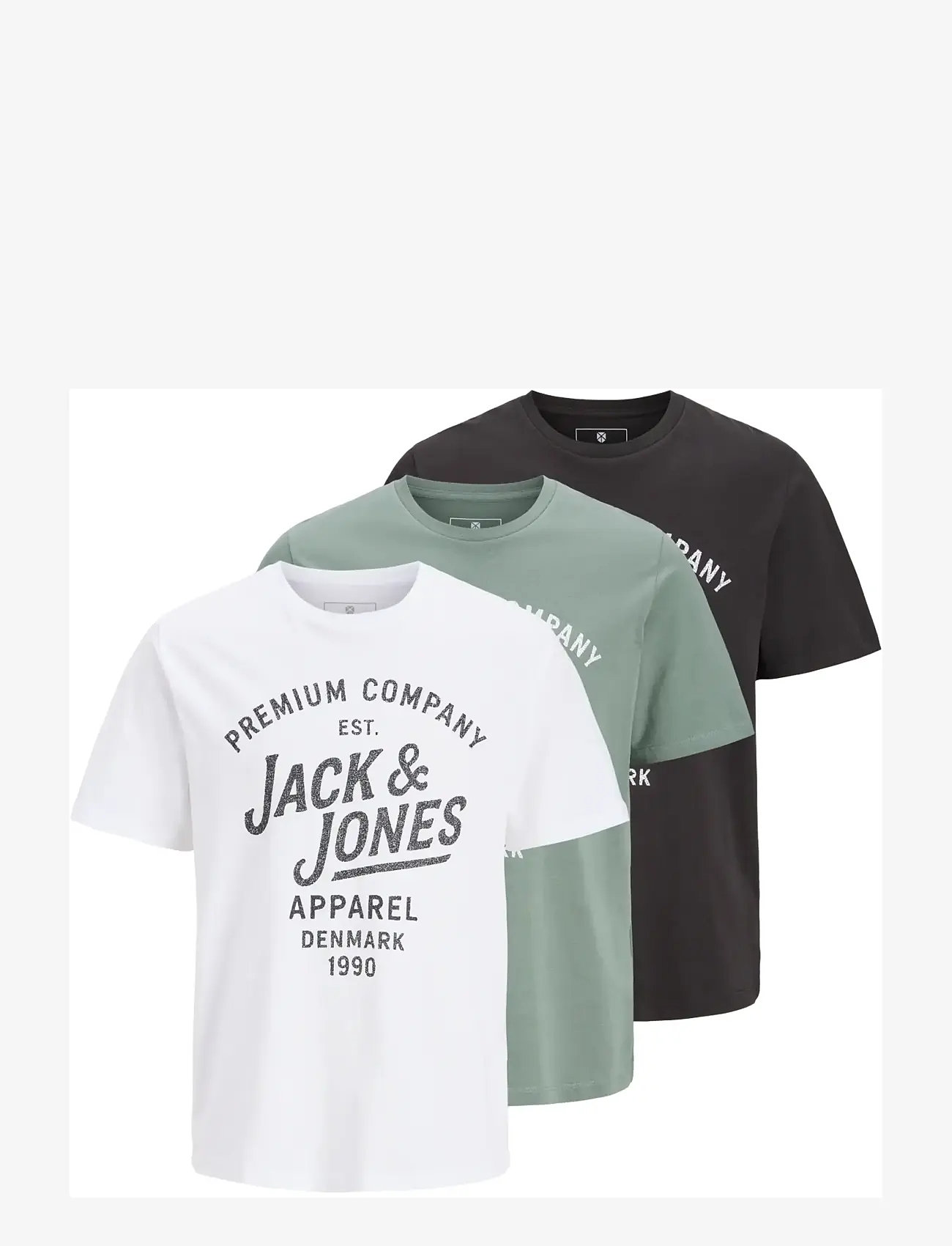 Jack & Jones - JPRBLUZANE SS TEE FST 3PK MP - multipack t-shirts - laurel wreath - 1