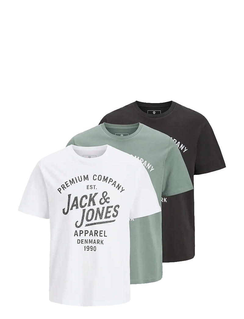 Jack & Jones - JPRBLUZANE SS TEE FST 3PK MP - multipack t-shirts - laurel wreath - 1