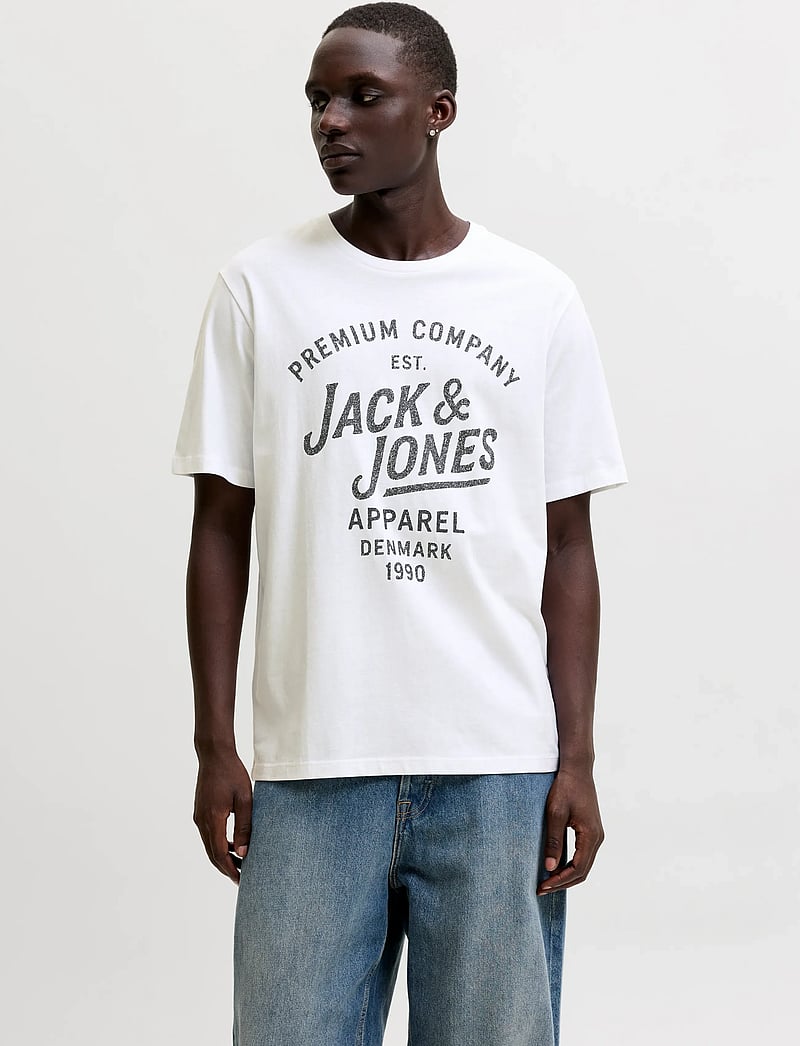 Jack & Jones - JPRBLUZANE SS TEE FST 3PK MP - multipack t-shirts - laurel wreath - 0