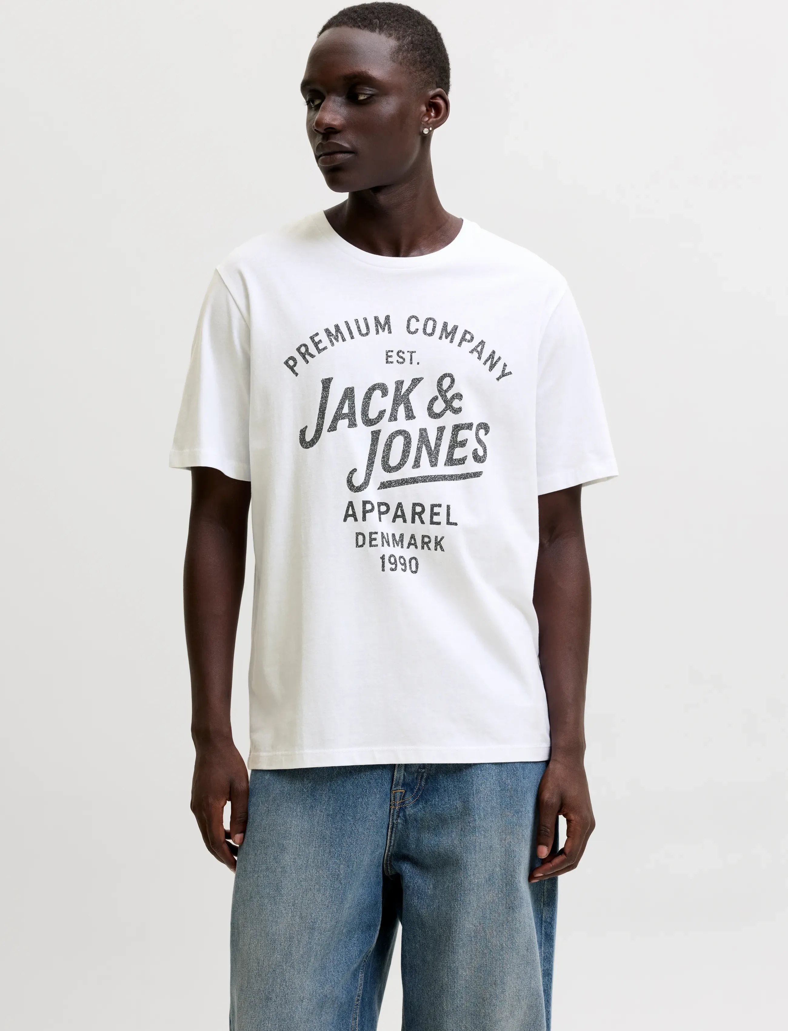 Jack & Jones JPRBLUZANE SS TEE FST 3PK MP - T-shirts - LAUREL WREATH / white