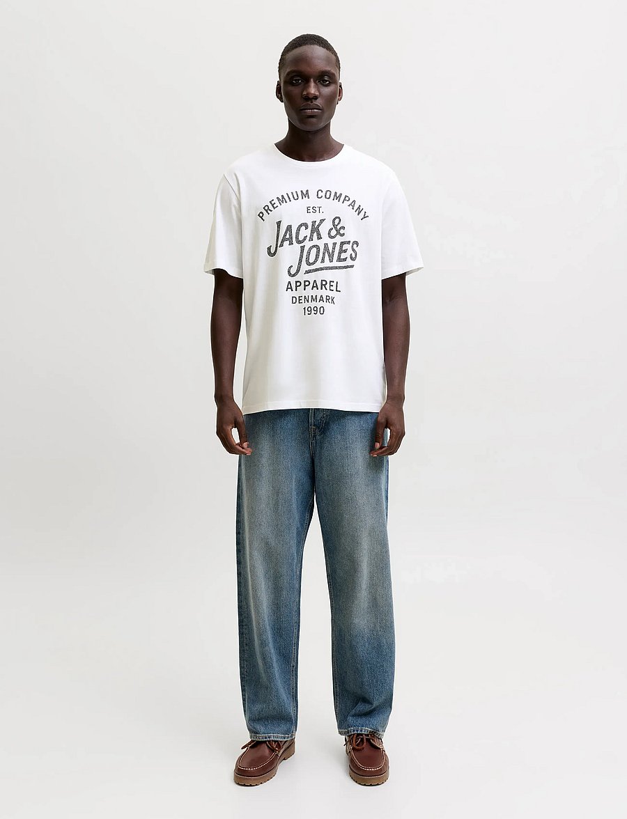 Jack & Jones - JPRBLUZANE SS TEE FST 3PK MP - t-shirts im multipack - laurel wreath - 4