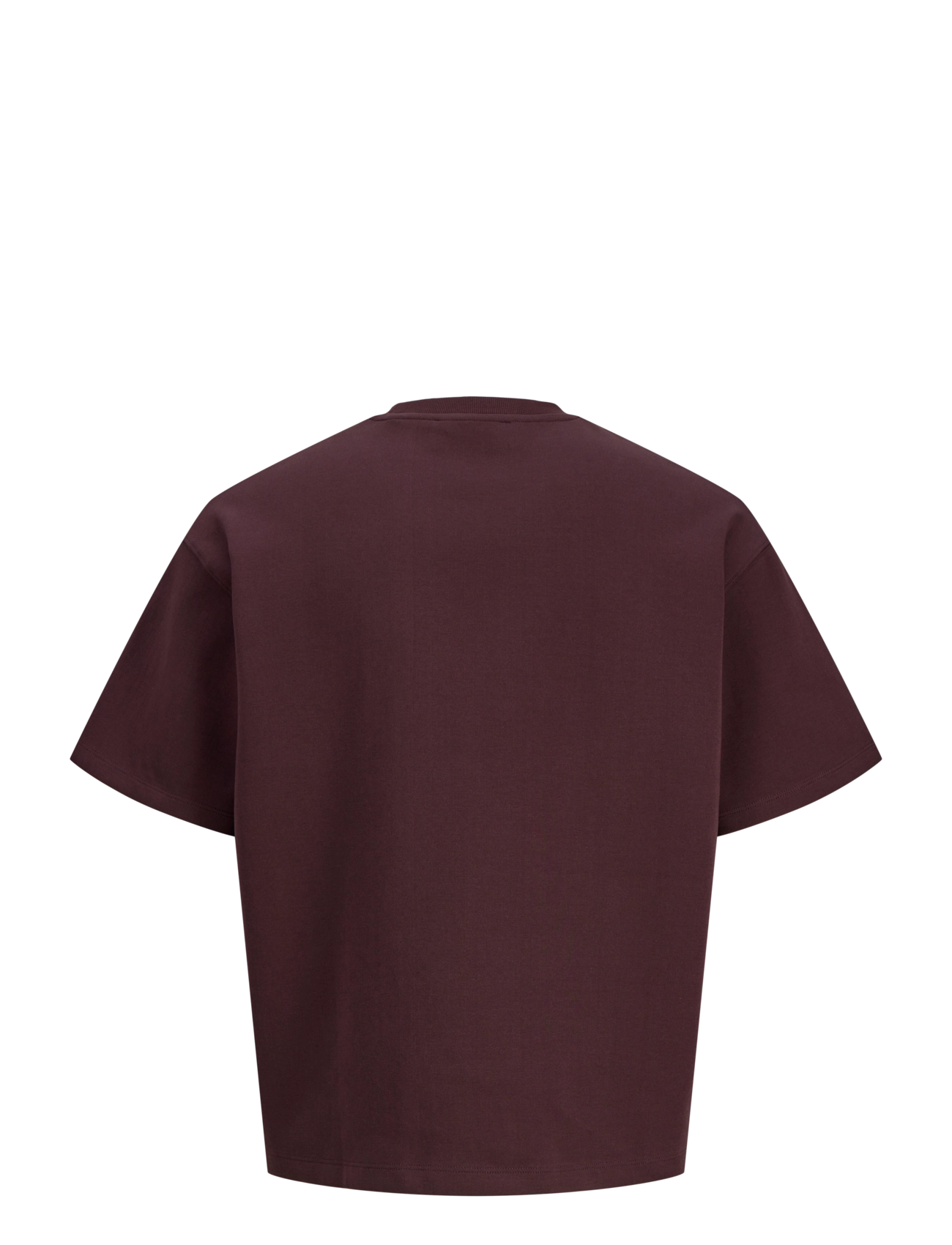 Jack & Jones - JCOLEGACY SCUBA TEE SS CN - kurzärmelige t-shirts - fudge - 2