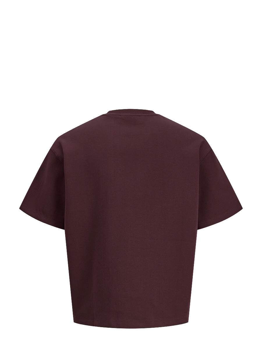 Jack & Jones - JCOLEGACY SCUBA TEE SS CN - kurzärmelige t-shirts - fudge - 2