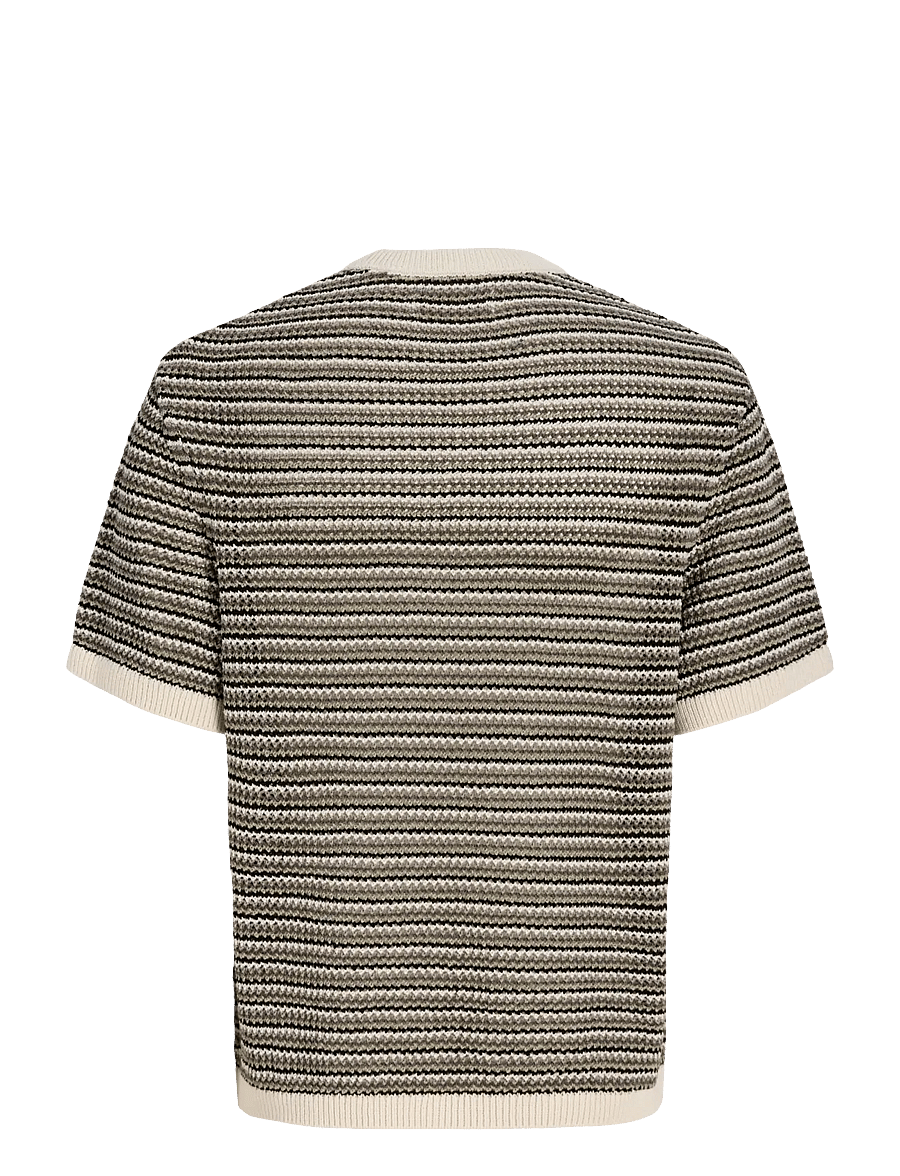 Jack & Jones - JORCARLO KNIT CREW NECK STYD SS26 - kortærmede t-shirts - sea salt - 2