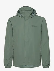 Jack Wolfskin - STORMY POINT 2L JKT M - outdoor & rain jackets - hedge green - 0