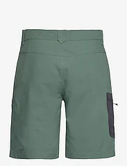 Jack Wolfskin - ACTIVE TRACK SHORTS M - sports shorts - hedge green - 1