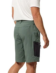 Jack Wolfskin - ACTIVE TRACK SHORTS M - sports shorts - hedge green - 3