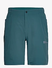 Jack Wolfskin - GRAVEX SHORTS M - sports shorts - emerald - 0