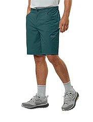 Jack Wolfskin - GRAVEX SHORTS M - sports shorts - emerald - 3