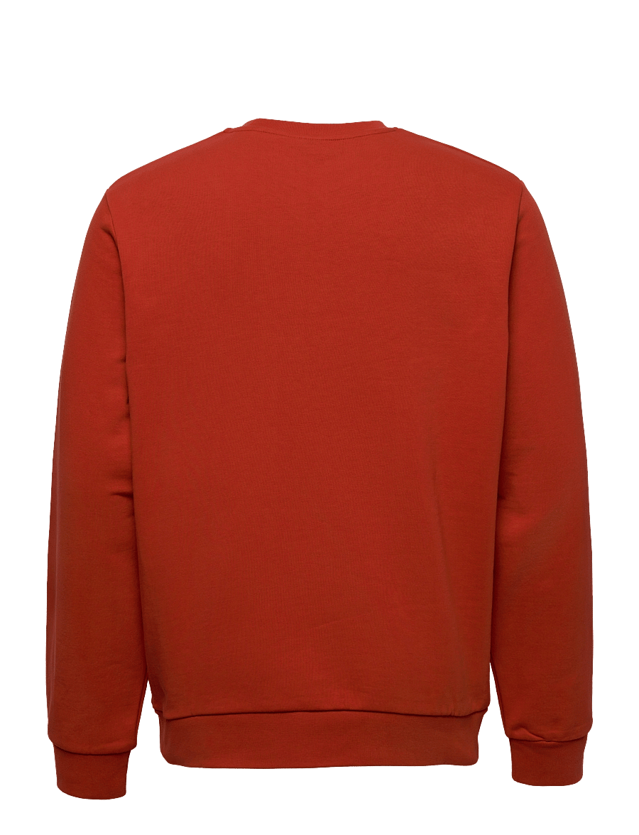 Jack Wolfskin - ESSENTIAL CREWNECK M - mexican pepper - 1