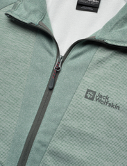 Jack Wolfskin - BLATTSTEIG FZ W - mid layer jackets - picnic green - 2
