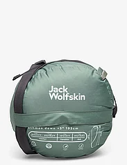 Jack Wolfskin - ATHMOS DOWN +5, 180CM - hiking equipment - picnic green - 1
