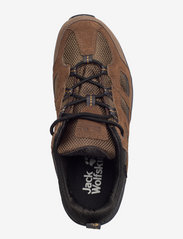 Jack Wolfskin - VOJO 3 TEXAPORE LOW M - hiking shoes - brown / phantom - 3