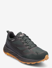 Jack Wolfskin - TERRAVENTURE TEXAPORE LOW M - hiking shoes - black olive - 0