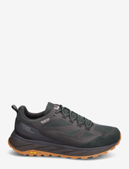 Jack Wolfskin - TERRAVENTURE TEXAPORE LOW M - hiking shoes - black olive - 1