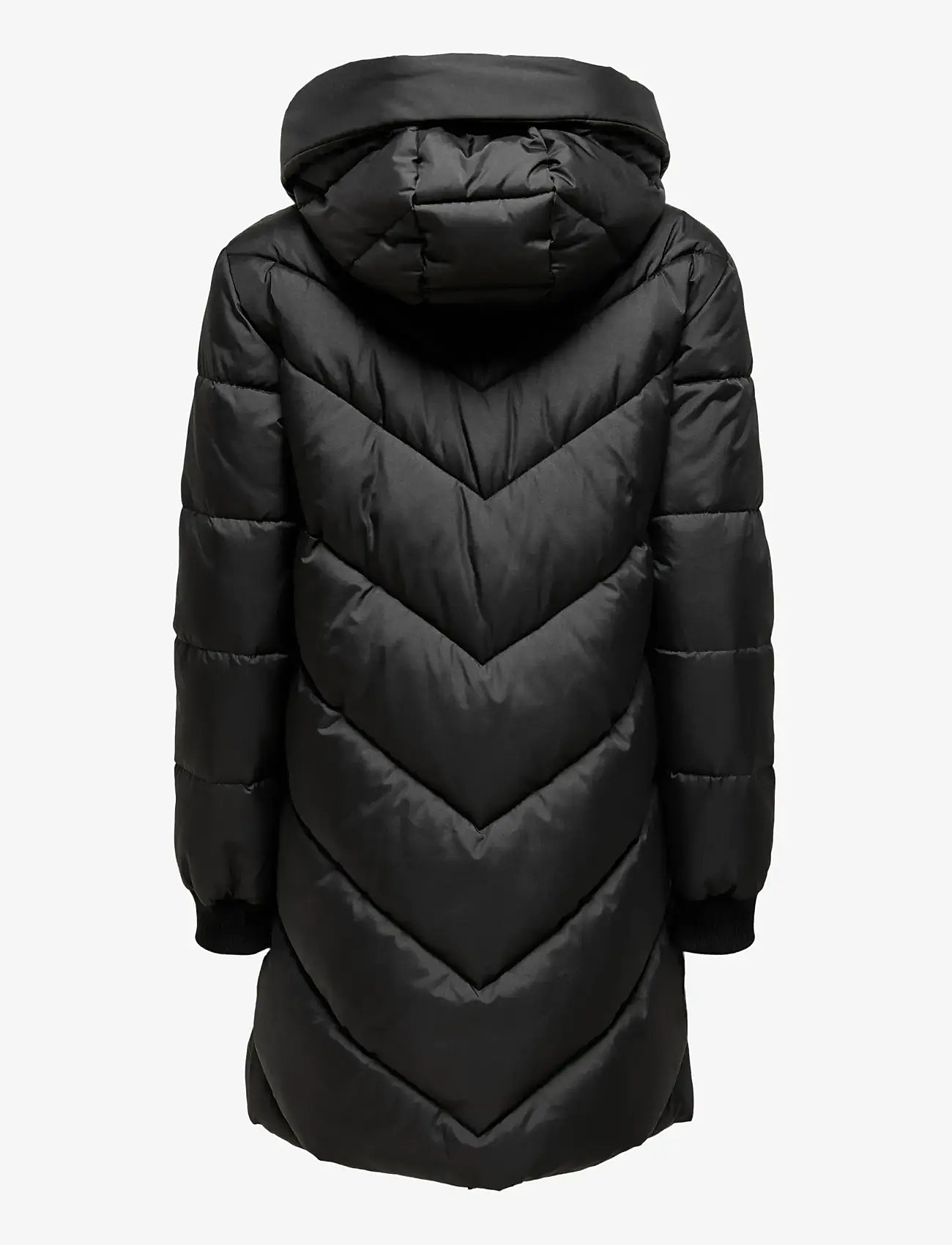 JDY - JDYSKYLAR LIFE HOOD JACKET OTW NOOS - winter jacket - black - 2