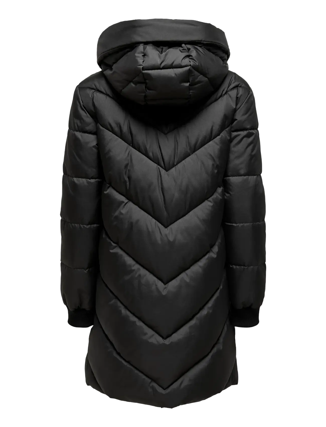 JDY - JDYSKYLAR LIFE HOOD JACKET OTW NOOS - vinterjakker - black - 2