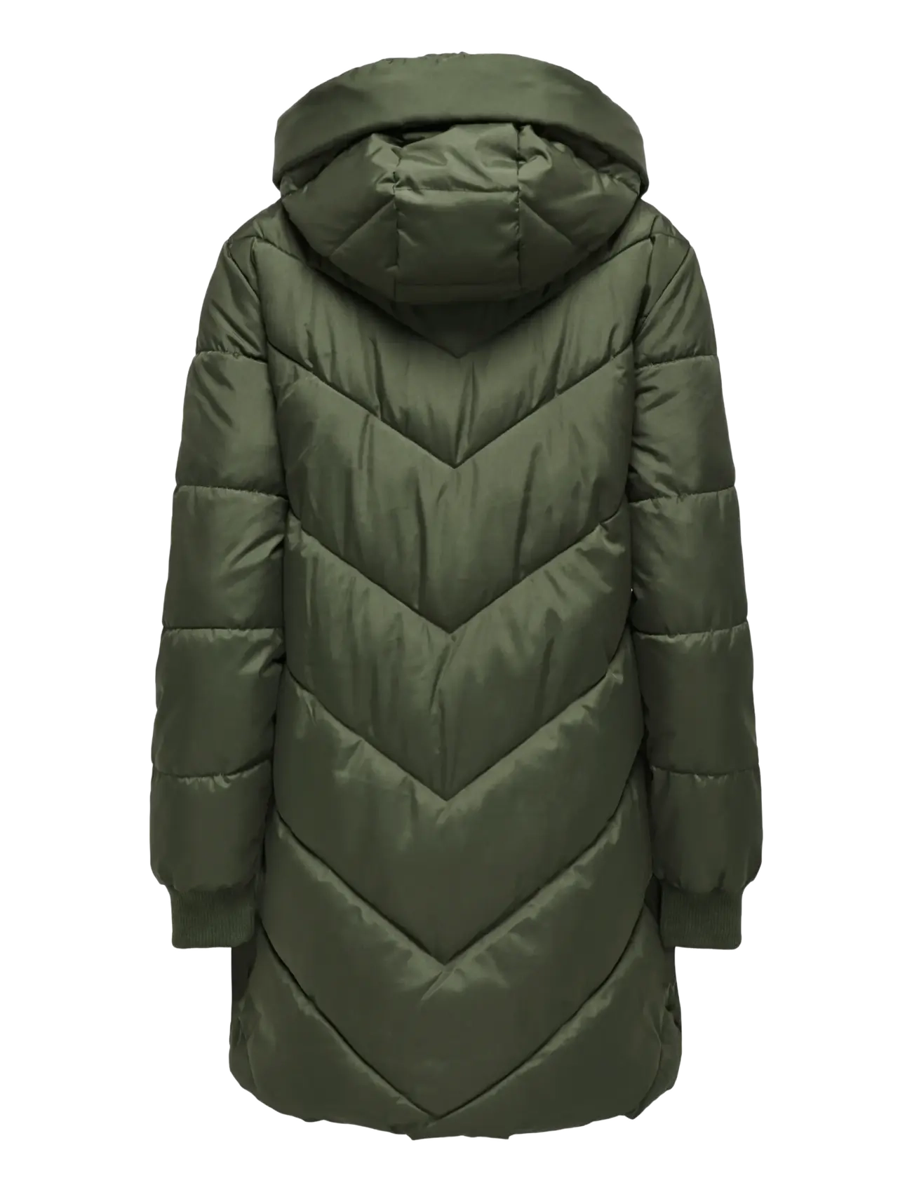 JDY - JDYSKYLAR LIFE HOOD JACKET OTW NOOS - winterjacken - forest night - 2