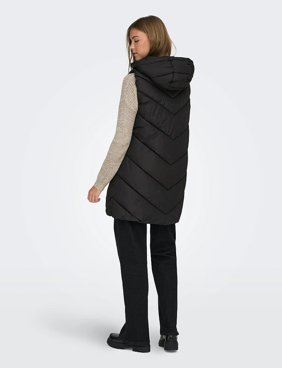 JDY - JDYSKYLAR LIFE HOOD WAISTCOAT OTW NOOS - vestes de printemps - black - 3