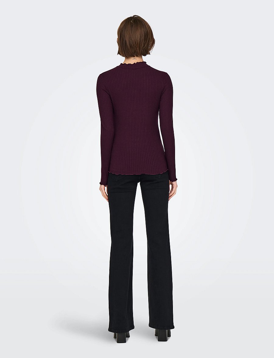 JDY - JDYFRANSISKA LIFE L/S HI-NCK TOP JR NOOS - langärmlige tops - winetasting - 3