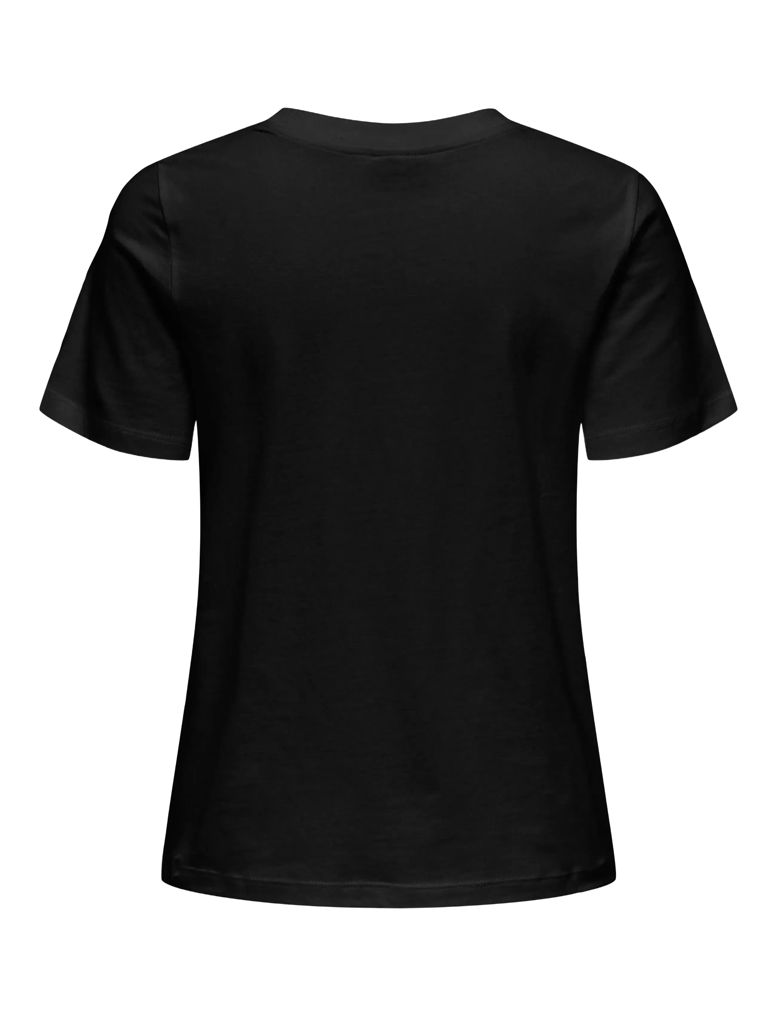 JDY - JDYPISA LIFE S/S PRINT TOP JRS NOOS - t-shirts - black - 2