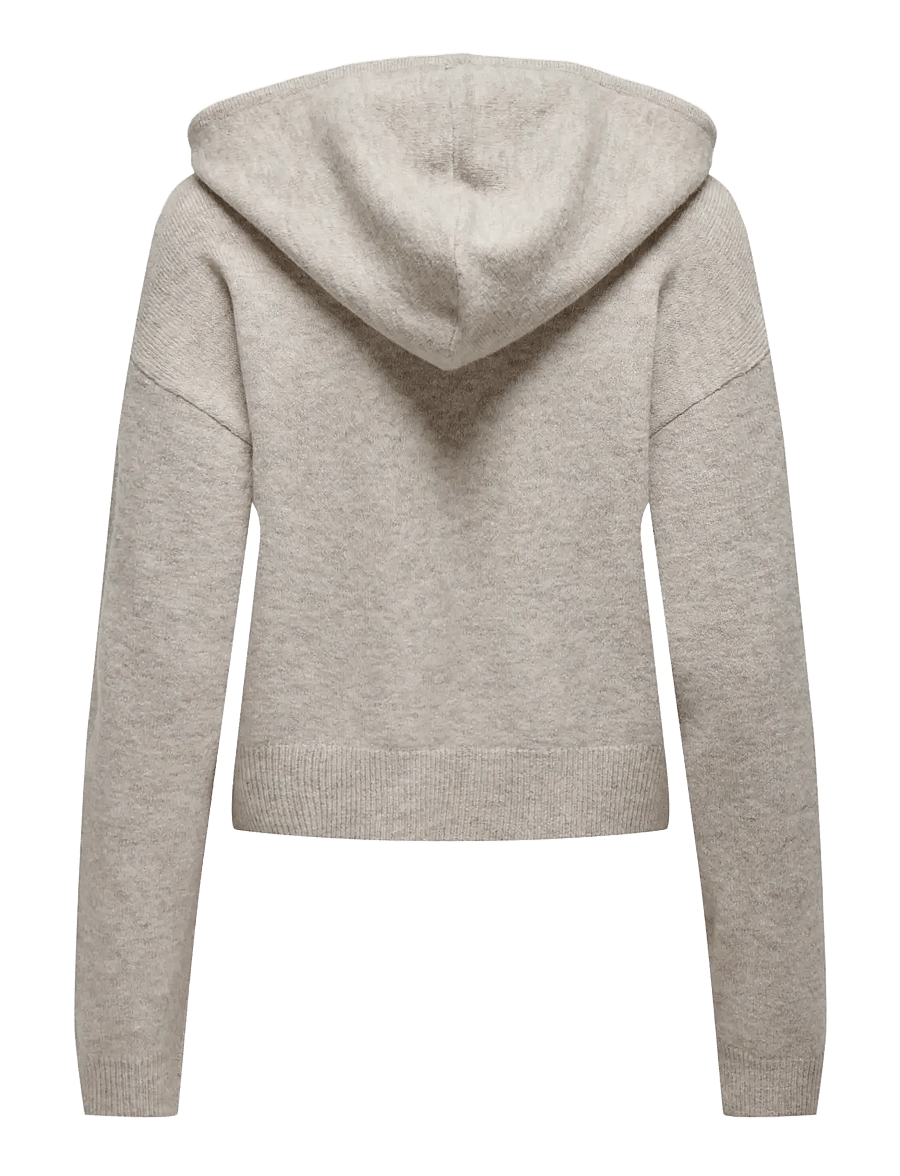 JDY - JDYRUE LIFE L/S SHORT HOOD PUL KNT NOOS - chateau gray - 2