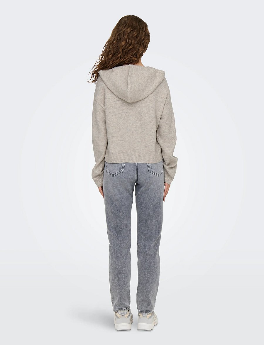 JDY - JDYRUE LIFE L/S SHORT HOOD PUL KNT NOOS - chateau gray - 3