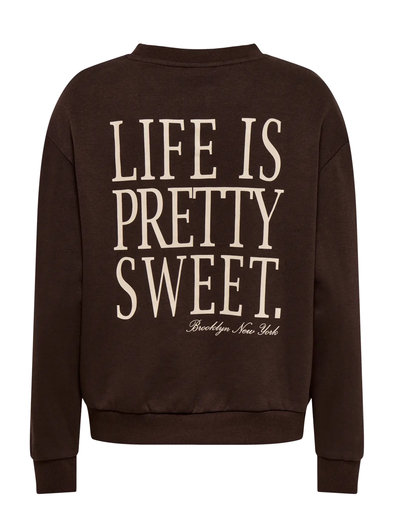 JDY - JDYNANNA LIFE L/S TEXT SWEAT JRS DIA - igapäevane stiil - coffee bean - 1