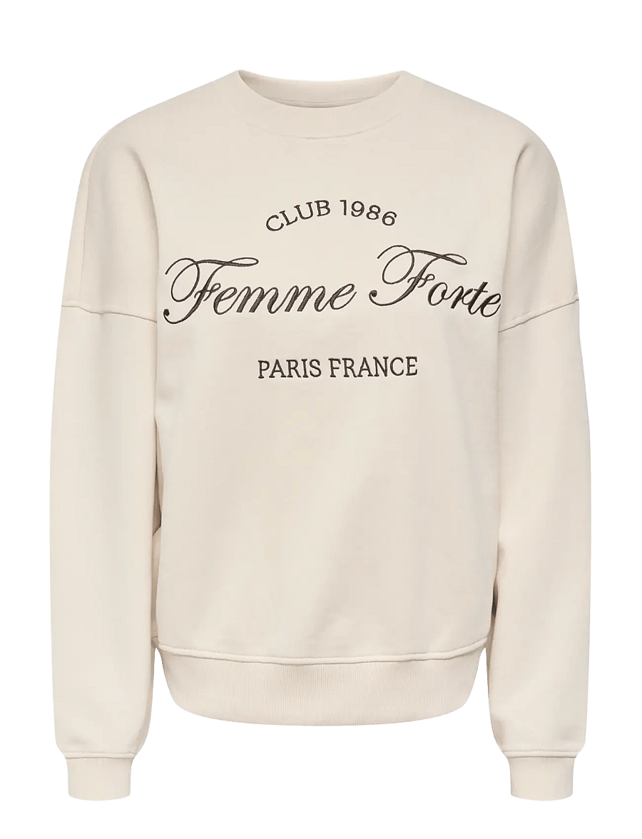JDY - JDYMESA L/S O-NK EMB SWEAT JRS NOOS - vardagsstil - birch - 1