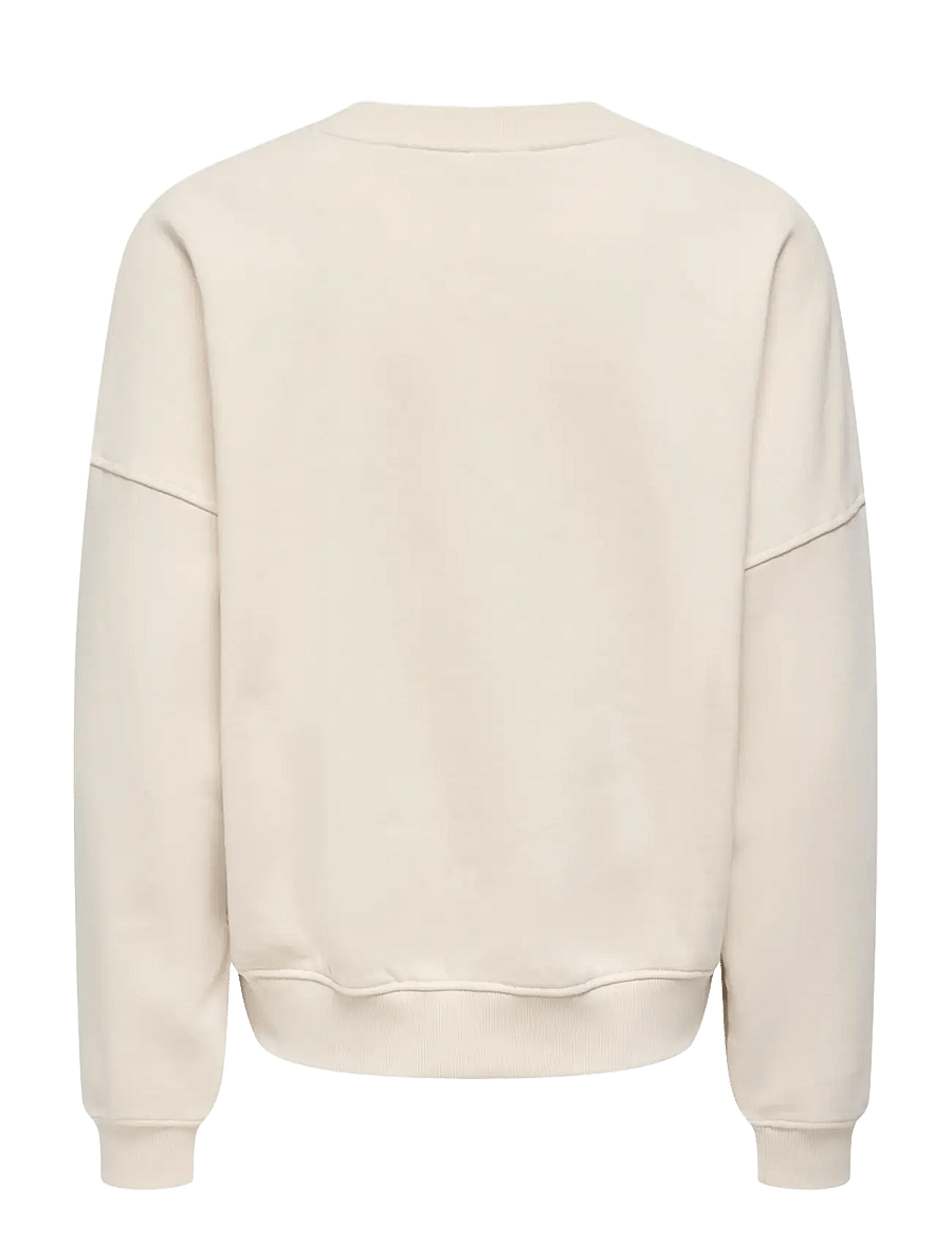 JDY - JDYMESA L/S O-NK EMB SWEAT JRS NOOS - vardagsstil - birch - 2